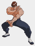 Fei Long Street Fighter II: The Animated Movie