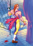 Vega Street Fighter 2