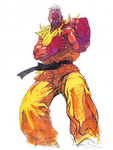 Sean Street Fighter III New Generation
