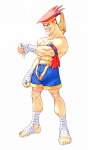 Adon Street Fighter Alpha 2