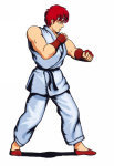 Ryu Street Fighter