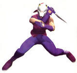 Kunimitsu Tekken 2
