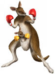 Roger Jr. Tekken 5 DR