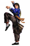 Lei Wulong Tekken 5