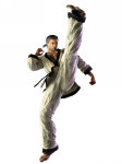 Baek Doo San Tekken 6