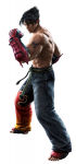Jin Kazama Tekken Tag Tournamnent 2