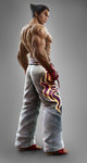 Kazuya Mishima Tekken Tag Tournamnent 2
