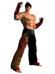 Jin Kazama Tekken Tag Tournamnent