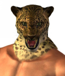 King Tekken Tag Tournamnent