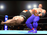 Wolf Hawkfield Virtua Fighter 2