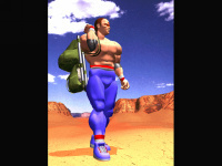 Wolf Hawkfield Virtua Fighter 2