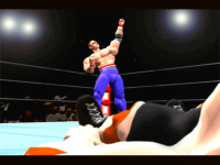Wolf Hawkfield Virtua Fighter 2