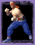 Wolf Hawkfield Virtua Fighter 2