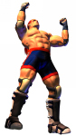Wolf Hawkfield Virtua Fighter 4
