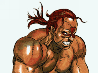 Wolf Hawkfield Virtua Fighter Remix