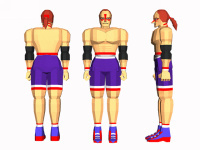 Wolf Hawkfield Virtua Fighter