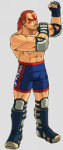 Wolf Hawkfield Virtua Quest